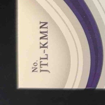 2023 Immaculate Collection Kyle Manzardo Jumbo Team Logo /25 Tampa Bay Rays