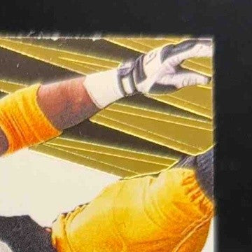 2020 Panini Plates & Patches Rod Woodson Canton Cloth /99 Pittsburgh Steelers