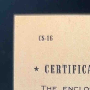 2005 Donruss Throwback Threads Michael Vick Century Stars Material /100 Falcons