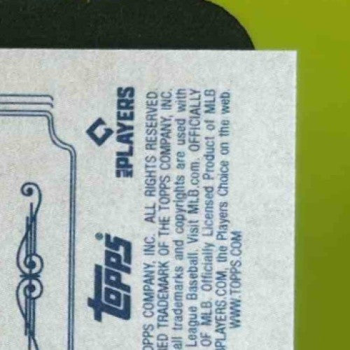 2024 Topps 206 Austin Riley Wood Stock #NNO Atlanta Braves Short Print