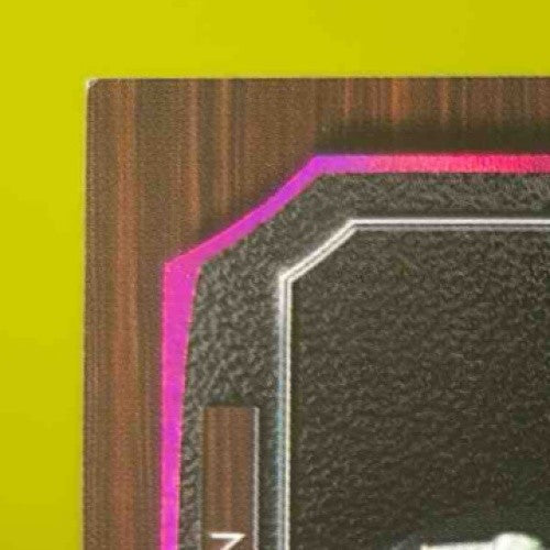 2024 Leaf In the Game Used BRUCE SMITH ROD WOODSON Dual Auto 1/1 Steelers Bills