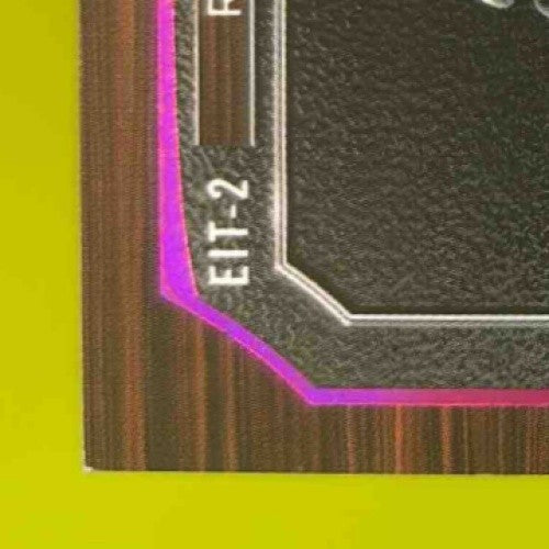 2024 Leaf In the Game Used BRUCE SMITH ROD WOODSON Dual Auto 1/1 Steelers Bills