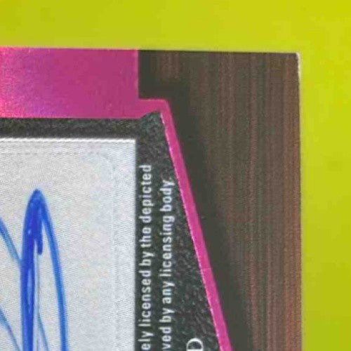 2024 Leaf In the Game Used BRUCE SMITH ROD WOODSON Dual Auto 1/1 Steelers Bills