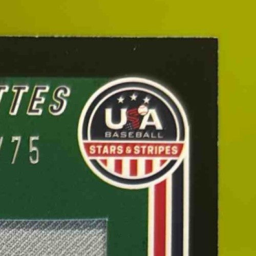 2022 USA Stars & Stripes Drew Thorpe Silhouette Signature Jersey Black Gold /75