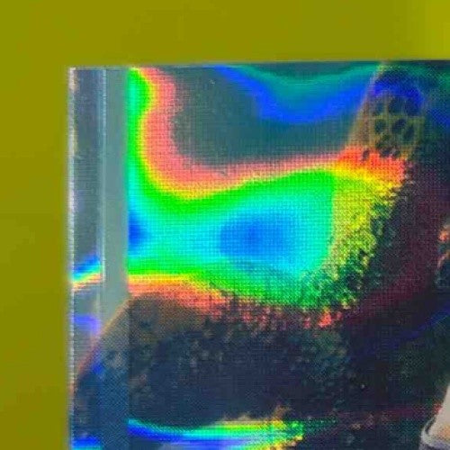 2025 Leaf Signature Series Carlos Boozer Aquatic Lava Orca 1/1 #A-CB2 Auto