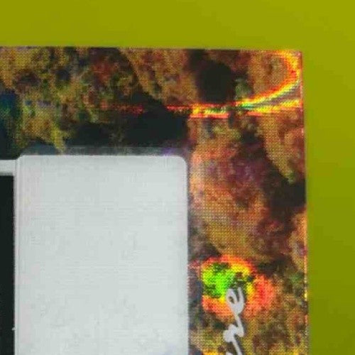 2025 Leaf Signature Series Carlos Boozer Aquatic Lava Orca 1/1 #A-CB2 Auto