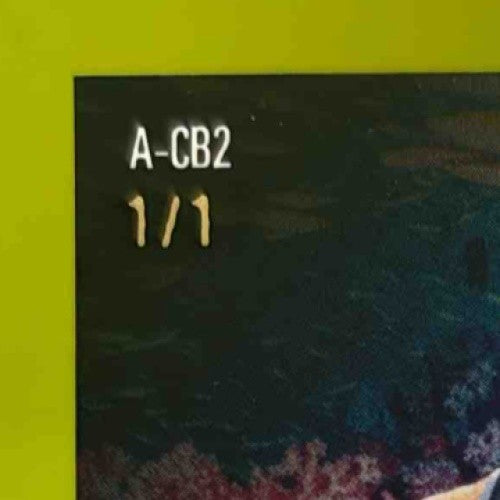 2025 Leaf Signature Series Carlos Boozer Aquatic Lava Orca 1/1 #A-CB2 Auto