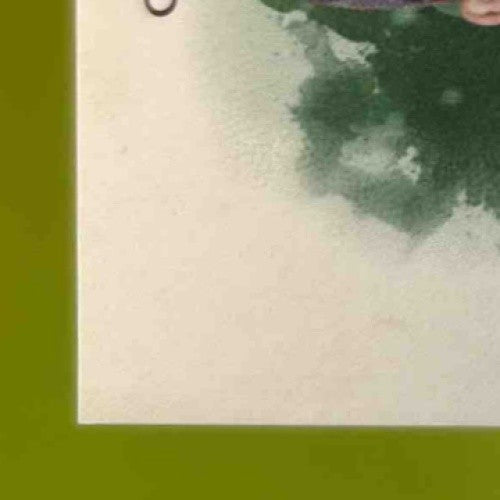 2017 Topps Allen & Ginter Miguel Cabrera Relics #FSRB-MCB MEM Detroit Tigers - Sports Cards