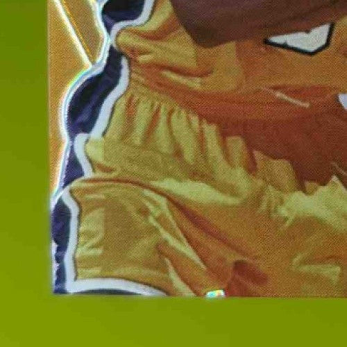 2024 Leaf Signature Series Robert Horry Metal Inscription Auto /100 Lakers - Sports Cards