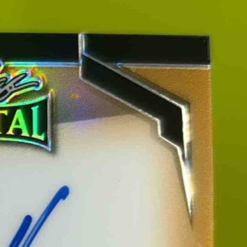 2024 Leaf Signature Series Robert Horry Metal Inscription Auto /100 Lakers - Sports Cards