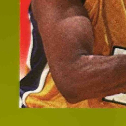 2024 Leaf Signature Series Robert Horry Metal Inscription Auto /100 Lakers - Sports Cards