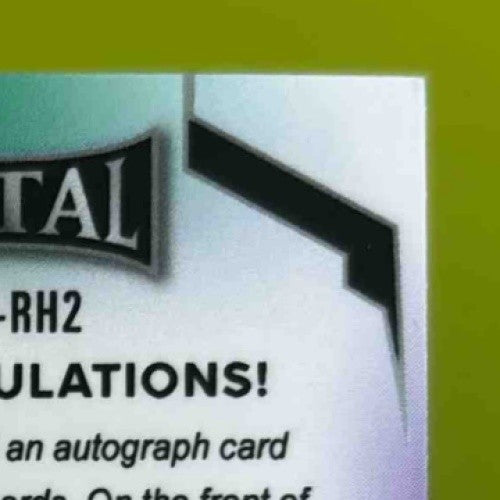 2024 Leaf Signature Series Robert Horry Metal Inscription Auto /100 Lakers
