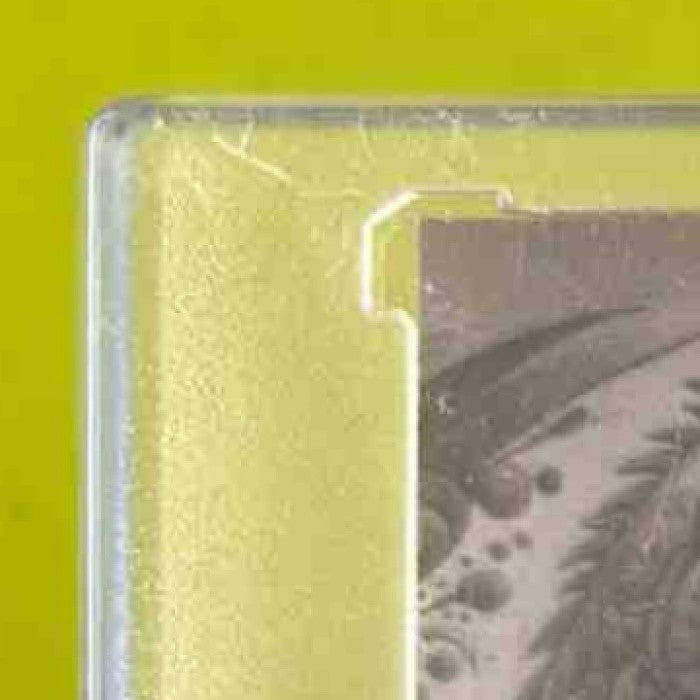 2024 Wild Card Alumination DinoMight Jordan Love Tyrannosaurus Rex /12