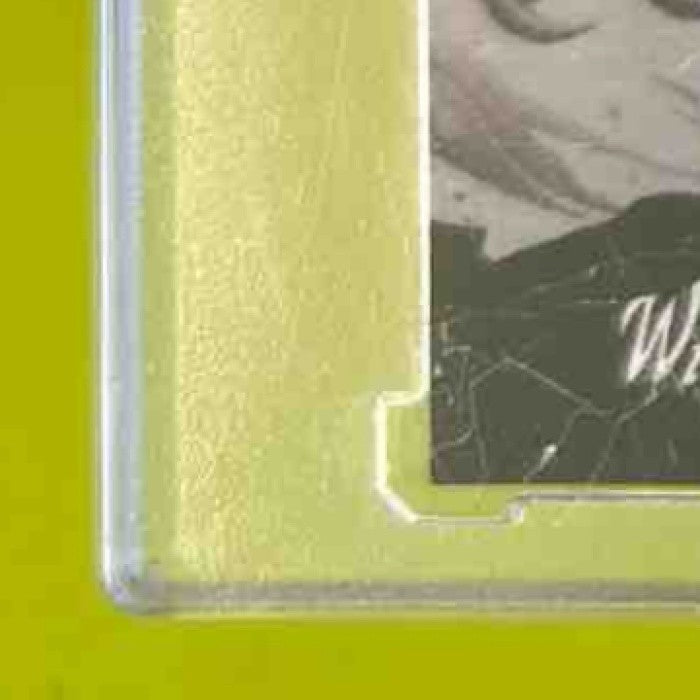 2024 Wild Card Alumination DinoMight Jordan Love Tyrannosaurus Rex /12