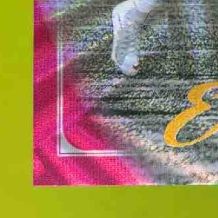 2025 Panini Luminance Quinn Ewers Vivid /10 #103 RC Miami Dolphins