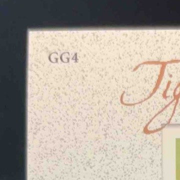 2001 Upper Deck Tiger Woods Gallery #GG4 Rookie Insert DJ1