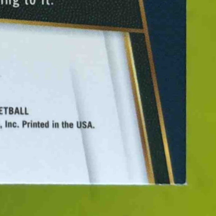 2017-18 Panini Select Taj Gibson Zebra Prizms #156 Minnesota Timberwolves