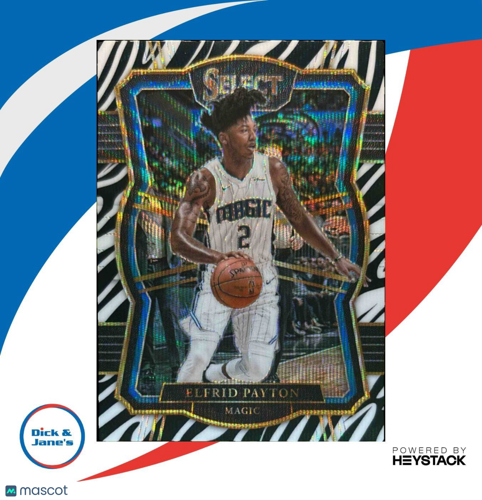 2017-18 Panini Select Elfrid Payton Zebra Prizms #155 Orlando Magic