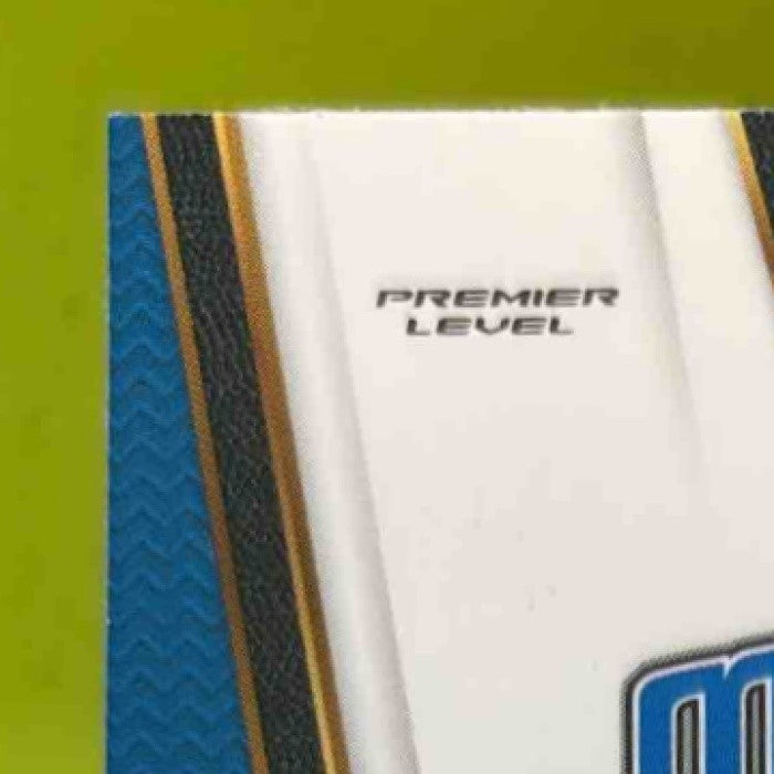 2017-18 Panini Select Elfrid Payton Zebra Prizms #155 Orlando Magic