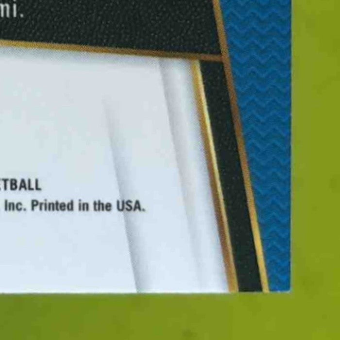 2017-18 Panini Select Elfrid Payton Zebra Prizms #155 Orlando Magic