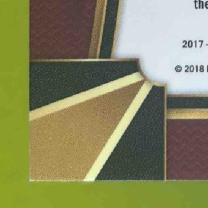 2017-18 Panini Select James Johnson Zebra Prizms #73 Concourse Miami Heat