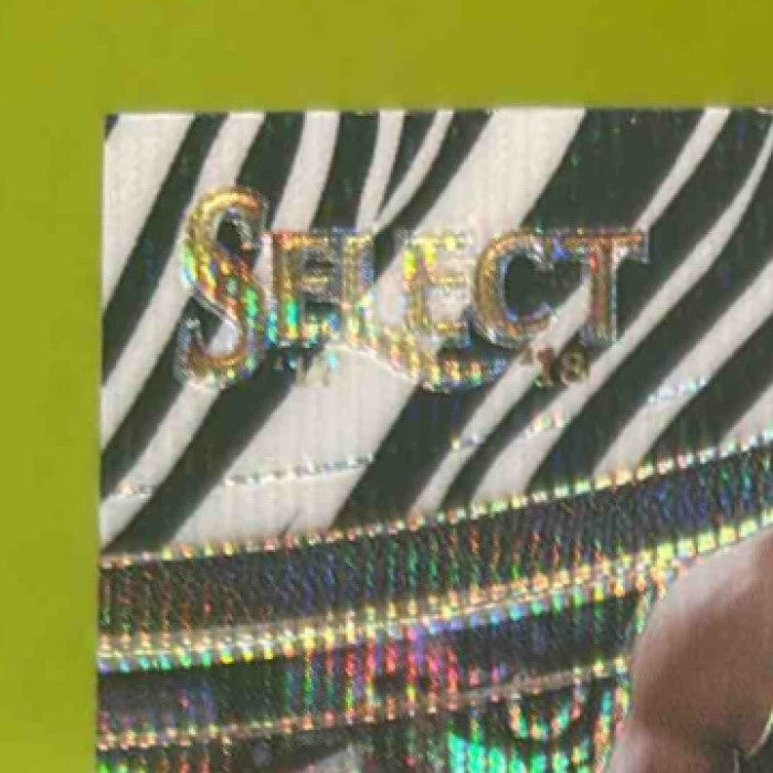 2017-18 Panini Select Hassan Whiteside Zebra Prizms #245 Courtside Miami Heat