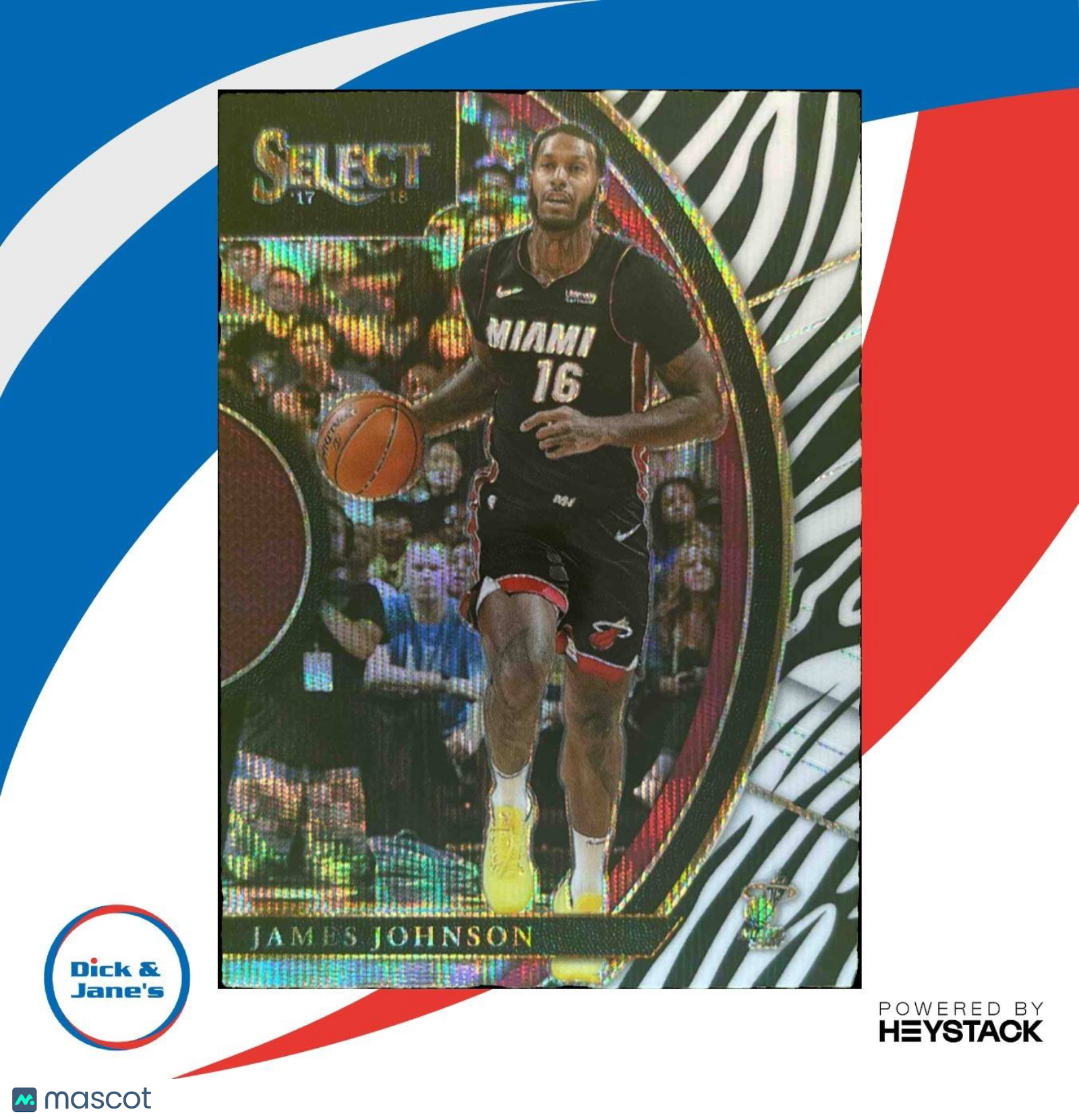 2017-18 Panini Select James Johnson Zebra Prizms #73 Concourse Miami Heat