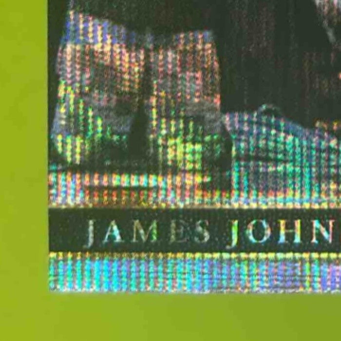 2017-18 Panini Select James Johnson Zebra Prizms #73 Concourse Miami Heat