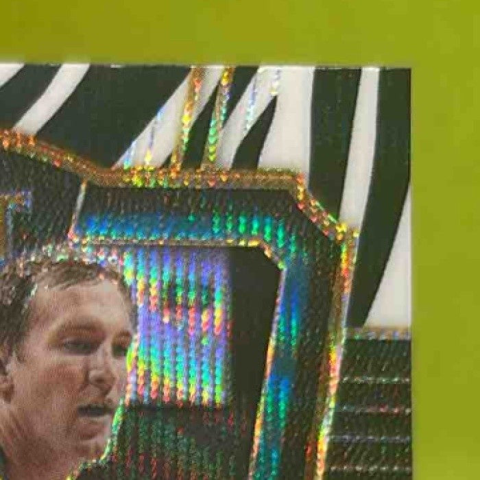 2017-18 Panini Select Cody Zeller Zebra Prizms #133 Charlotte Hornets