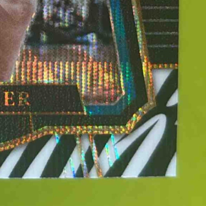 2017-18 Panini Select Cody Zeller Zebra Prizms #133 Charlotte Hornets