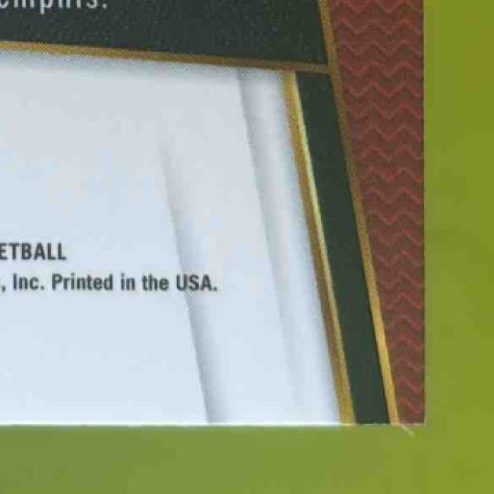 2017-18 Panini Select Ryan Anderson Zebra Prizms #184 Houston Rockets