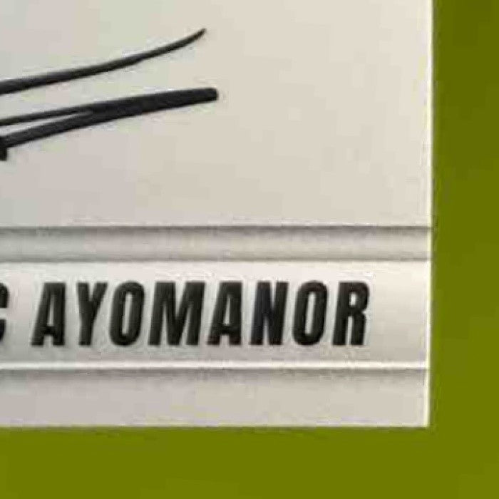 2025 Panini Donruss Elite Elic Ayomanor Pen Pal Horizontal Auto Tennessee Titans