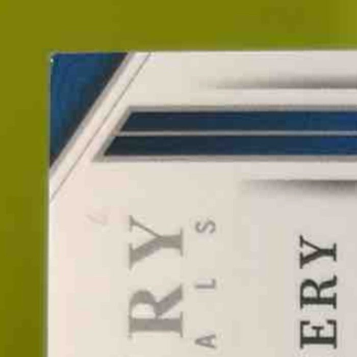 2023 National Treasures David Montgomery Century Materials /49 MEM Detroit Lions