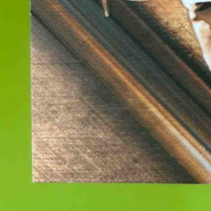 2016 Topps Legacies of Baseball Roberto Alomar Lasting Imprints /99 Indians