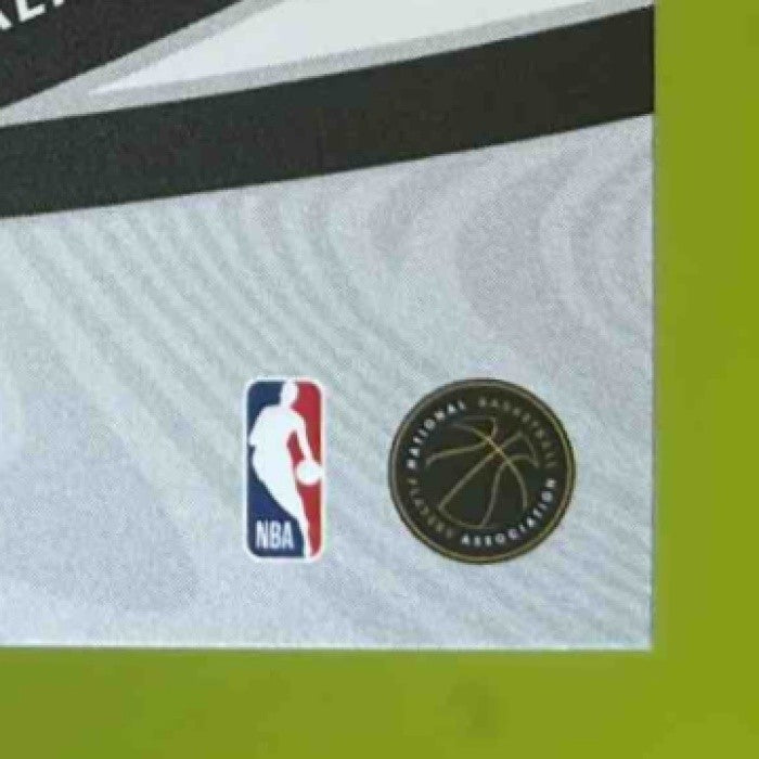 2024-25 Panini Revolution LeBron James Vortex #12 Los Angeles Lakers