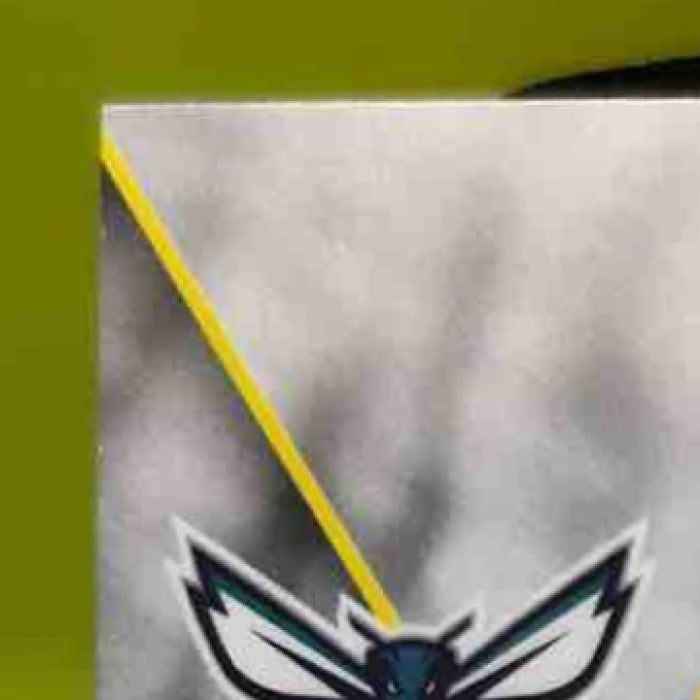 2023-24 Panini Phoenix Brandon Miller Fade To Black #8 RC Charlotte Hornets