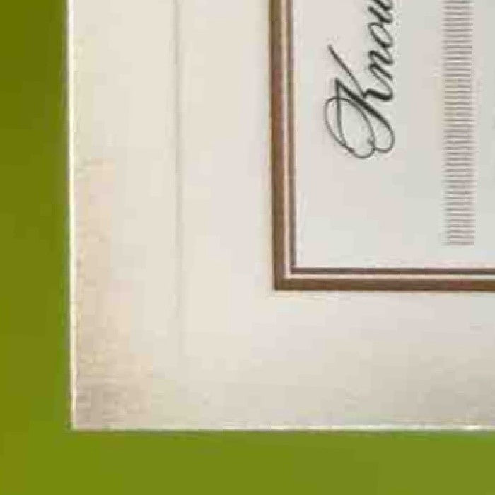 2011 Panini Prime Signatures Knowshon Moreno /499 #105 Denver Broncos