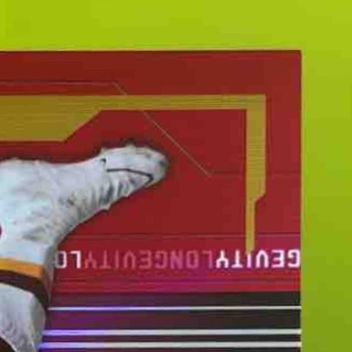 2005 Leaf Rookies & Stars Longevity Clinton Portis Ruby /299 #94 Redskins