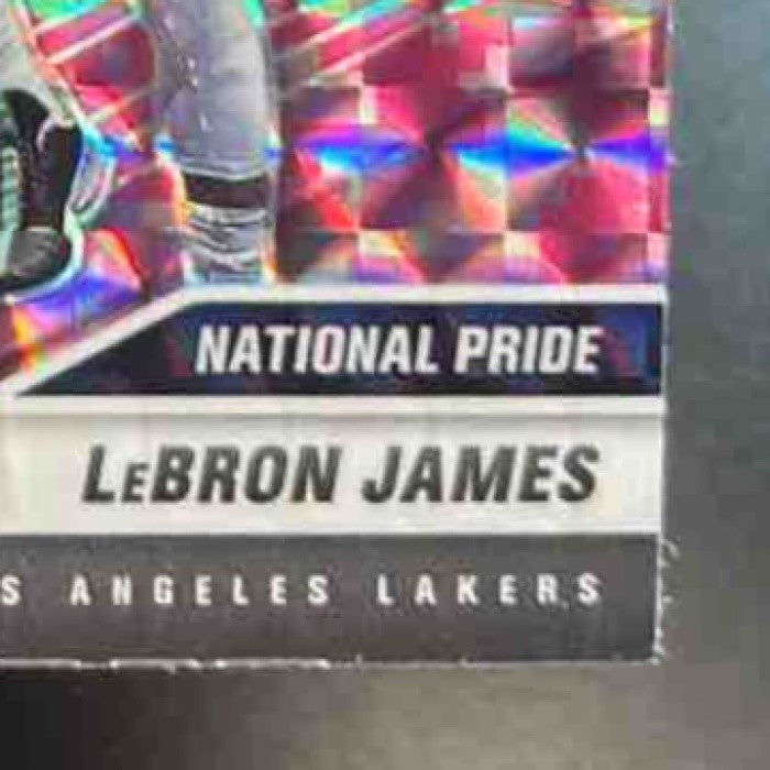 2020-21 Mosaic LeBron James Camo Pink #247 National Pride Los Angeles Lakers