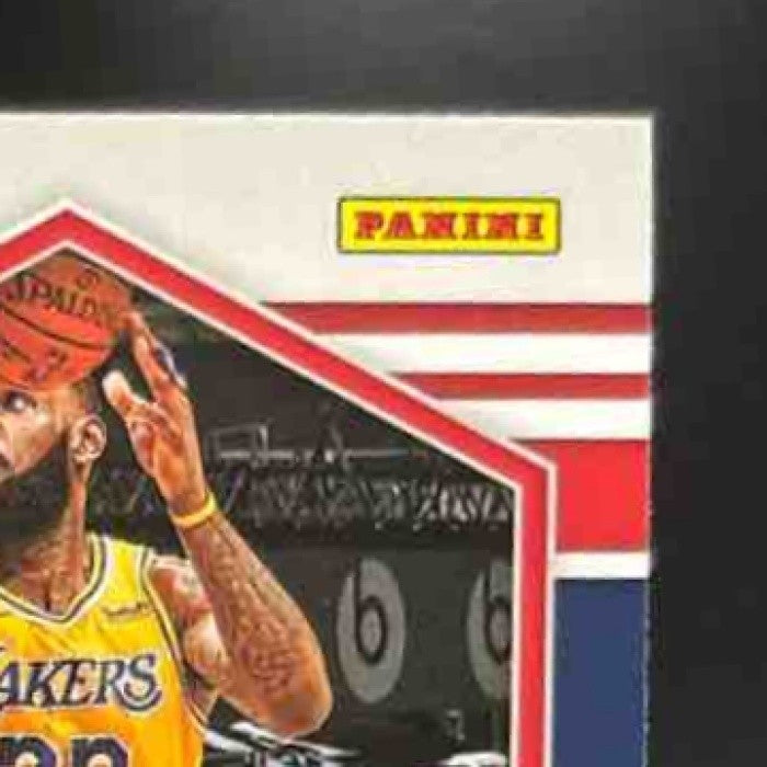 2020-21 Mosaic LeBron James Camo Pink #247 National Pride Los Angeles Lakers