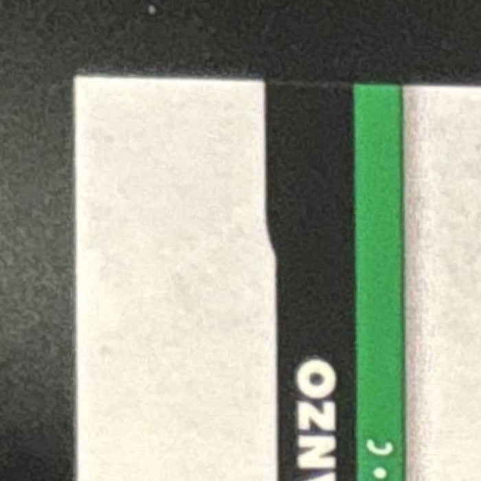2025 Topps Pro Debut Thayron Liranzo Jumbo Auto Relic /300 MEM Great Lakes Loons