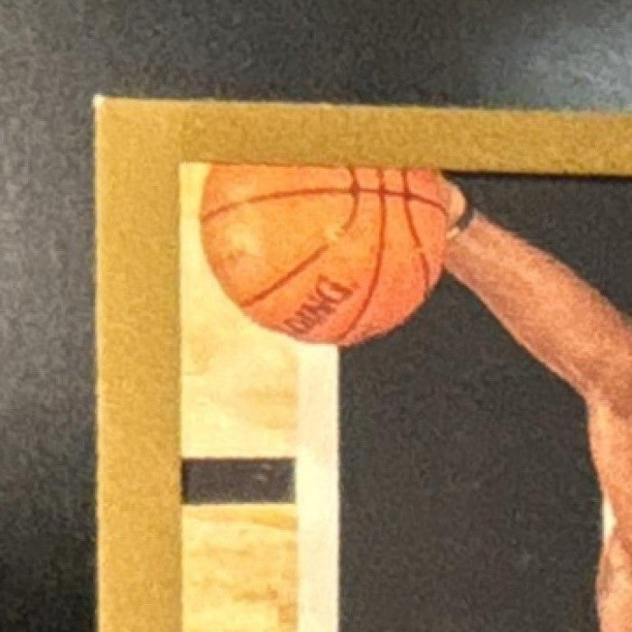 2004-05 Skybox LE LeBron James Gold Proof 18/150 #19 Cleveland Cavaliers