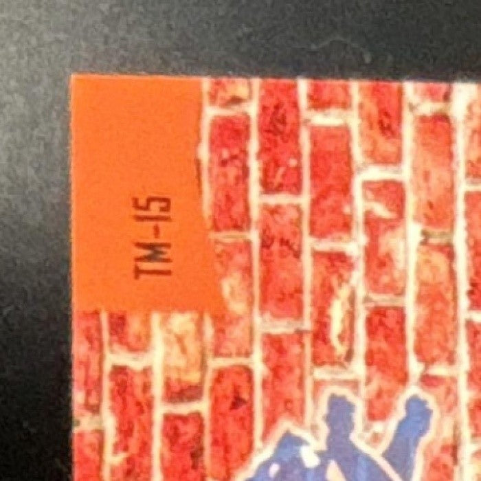 2025 Topps Finest Amon-Ra St. Brown The Man #TM-15 Detroit Lions