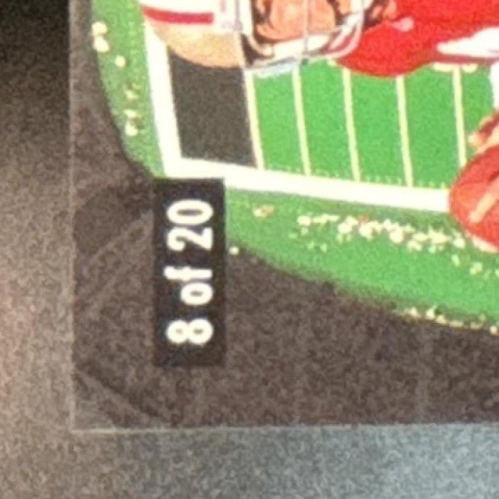 1996 Pinnacle Dan Marino Steve Young Double Disguise #8 Carolina Panthers