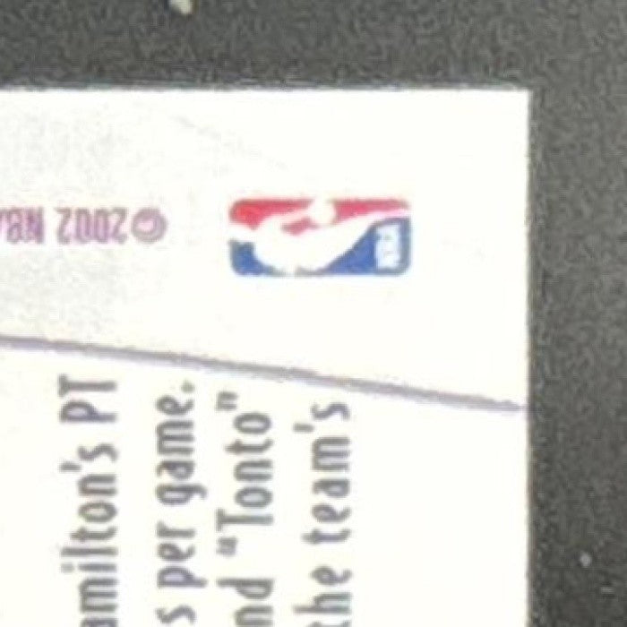 2002-03 Topps Michael Jordan Richard Hamilton Top Tandems Washington Wizards