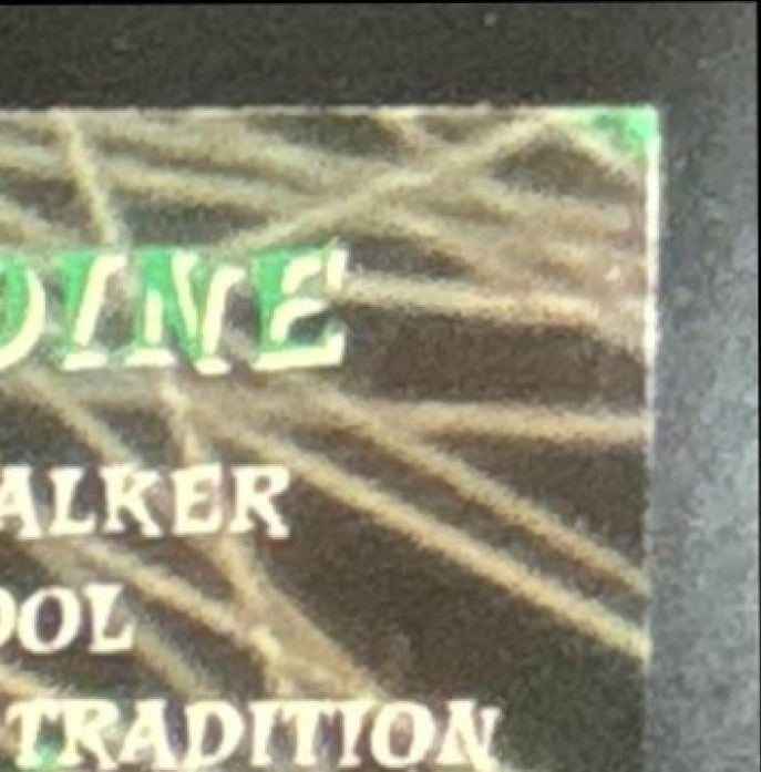 1996 Skybox Metal Antoine Walker Edge #14 Celtics