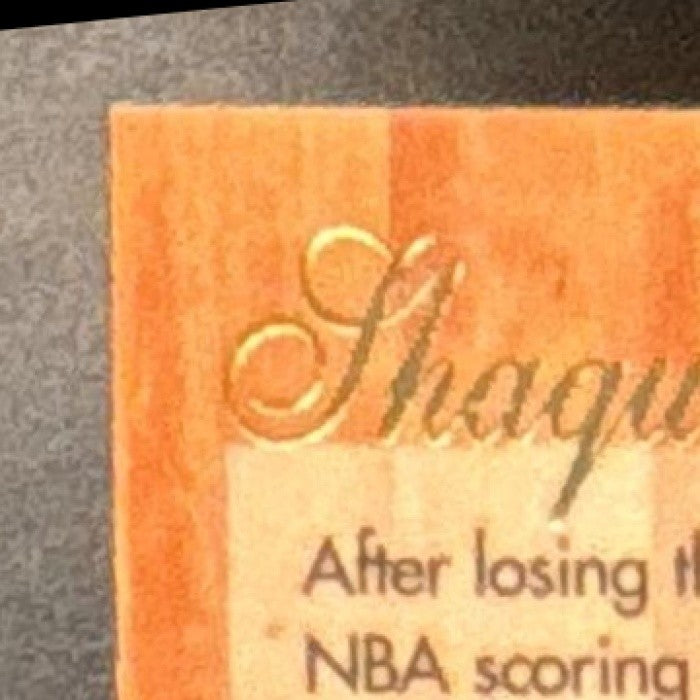 1995-96 Fleer Shaquille O'Neal Flair Hardwood Leader #19 Orlando Magic