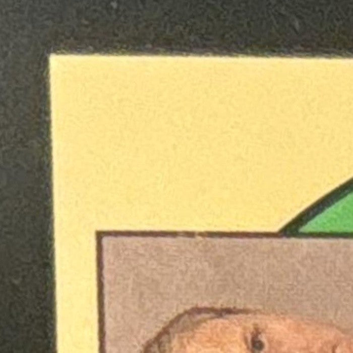 1990-91 Hoops Larry Bird #39 Boston Celtics