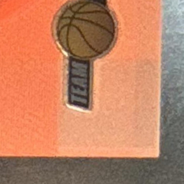 2001-02 Topps Chrome Team Photos #TT10 RC Memphis Grizzlies