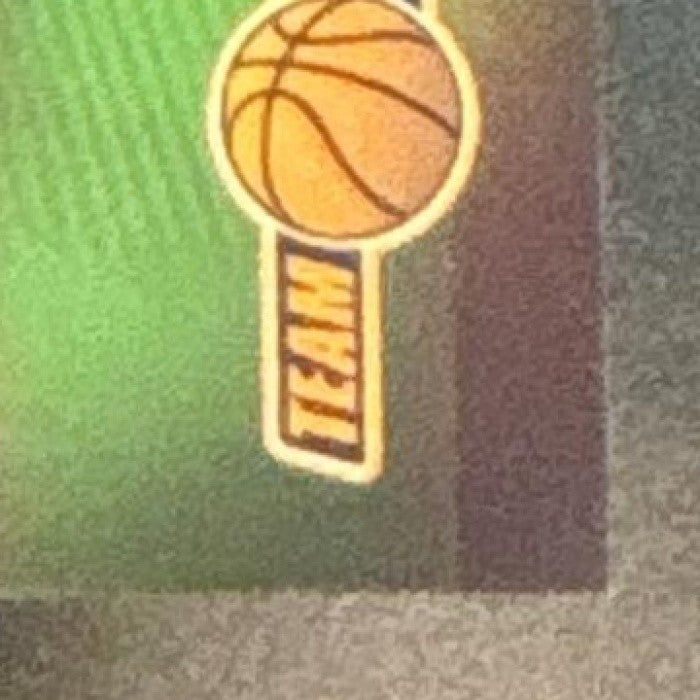 2001-02 Topps Chrome Team Photos #TT10 RC Memphis Grizzlies